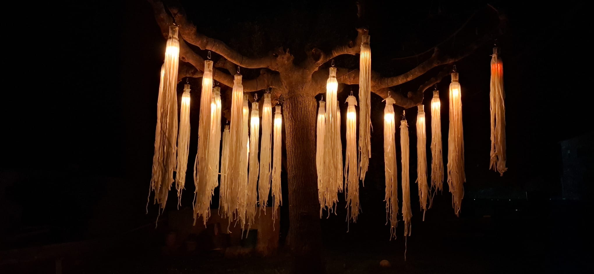 L'arbre 1
