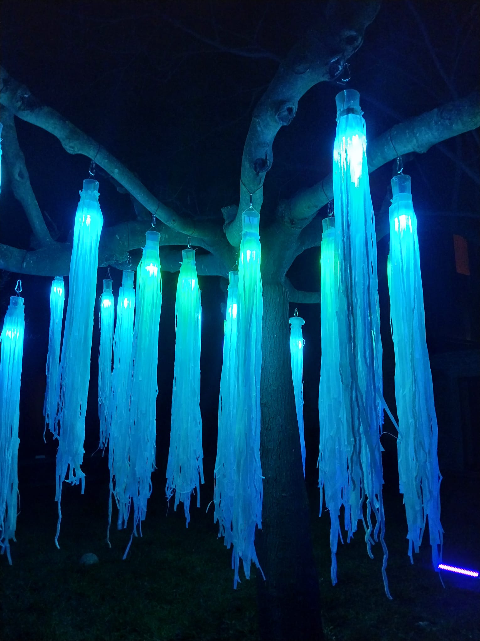 L'arbre 3